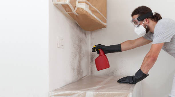 Professional Attic Mold Remediation technician working in Woodbine, NJ