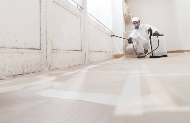 24/7 Emergency Attic Mold Remediation experts in Woodbine, NJ