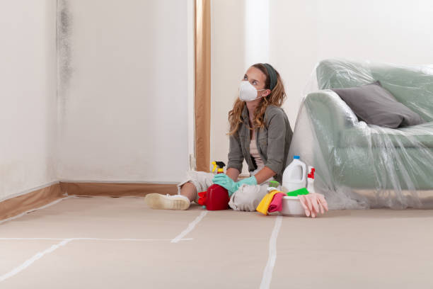 Reliable Attic Mold Remediation contractor in Woodbine, NJ by Car Mold Remediation